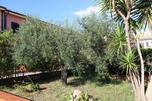Apartamento Andrea Case Vacanze L'ancora
