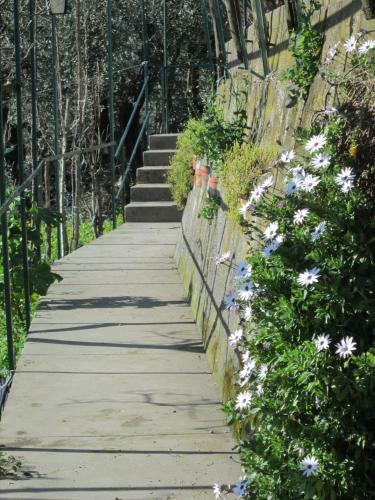 Bed & Breakfast L'uliveto