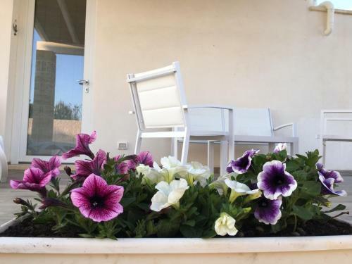 Bed & Breakfast Luna Rossa