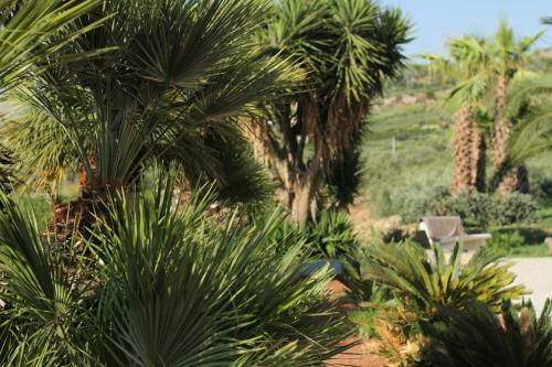 Agroturismo Tenute Piazza Countryhouse