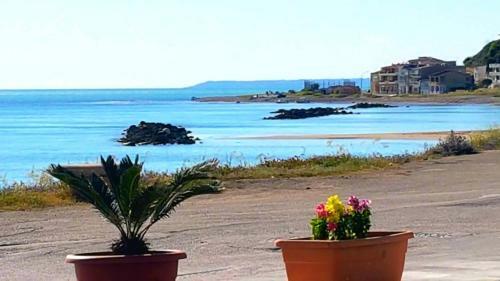 Bed & Breakfast Camera Vacanze American Bar