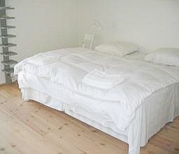 Hotel Plesner