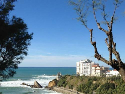 Apartment Le Basque : Charmant Pied � Terre Proche de Tout