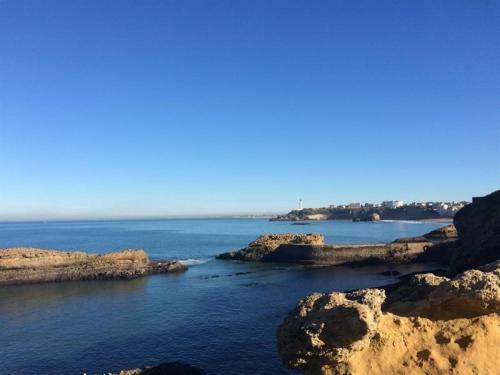 Apartment Le Basque : Charmant Pied � Terre Proche de Tout
