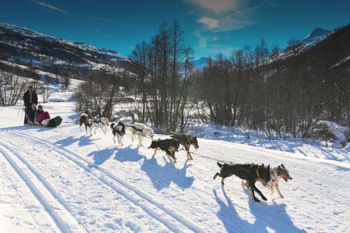 Apartamento R�sidence Les Glaciers - Val Thorens