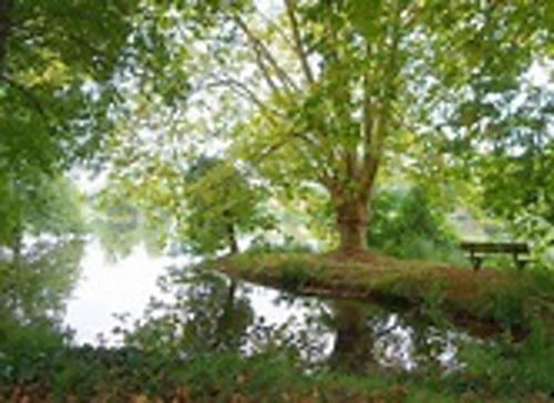 Holiday Home Route Des Mini�res