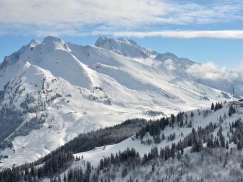 Apartment Bel Alp 1