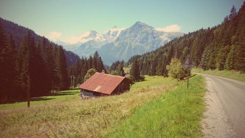 Bed & Breakfast Chalet La Moussi�re