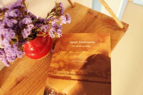 Bed & Breakfast Agapi Konukevi