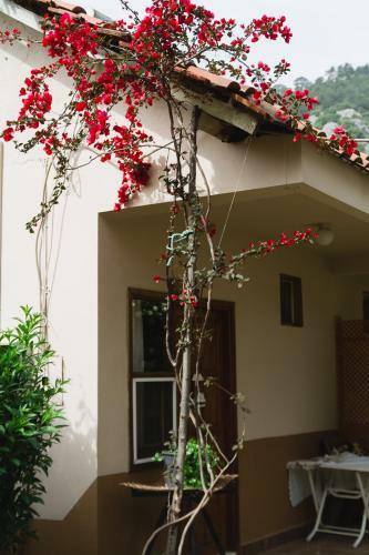 Village Garden Pansiyon