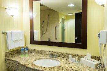 Hotel Courtyard By Marriott San Luis Potosi