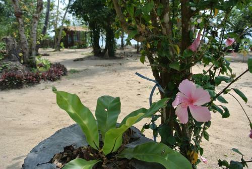 Bed & Breakfast Bangbaobeach Resort