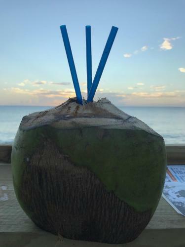 Apartamento Aquatika Beachfront And Rainforest Views