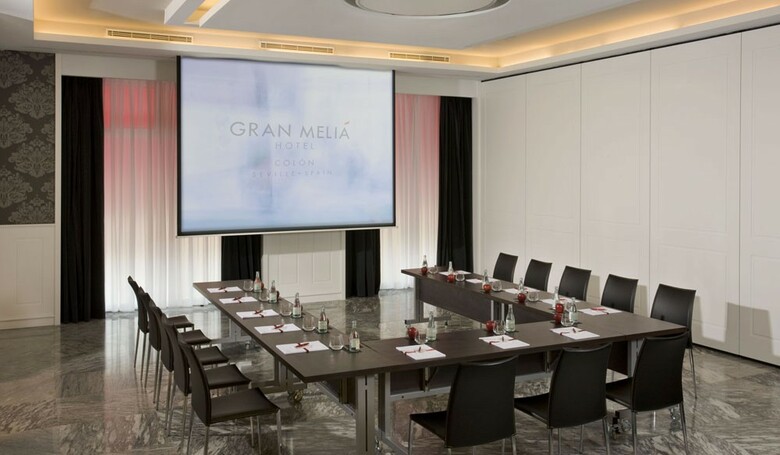 Hotel Gran Melia Col�n