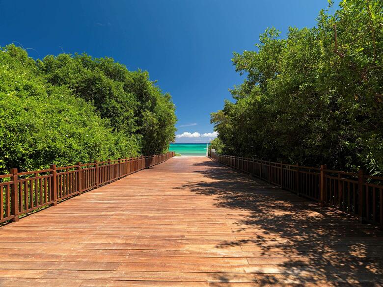 Hotel Paradisus Playa Del Carmen - Riviera Maya