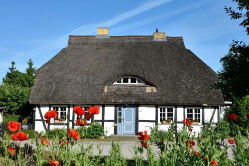 Apartamento Fachwerkhaus Zirkow