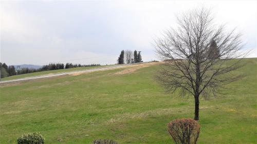 Apartamento Ferienwohnung Pistenblick