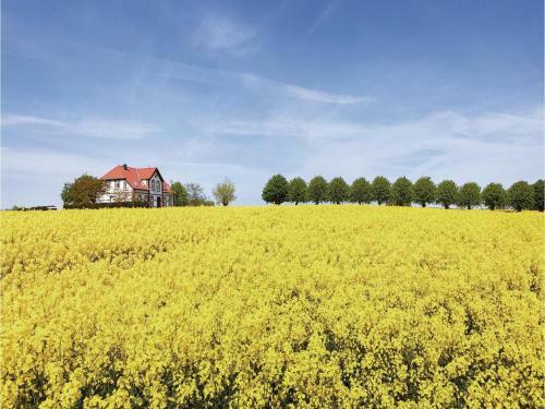 One-bedroom Apartment In Insel Poel