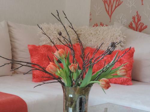 Apartamento Ferienwohnung "koralle"