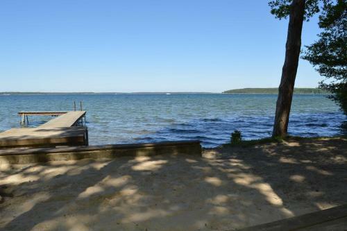 Ferienhaus Urlaub Mit Hund Am Plau