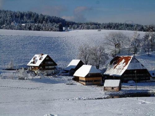 Apartamento Ferienwohnungen S�gehof