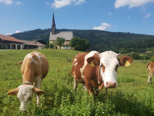 Reikartz Hotel Gastager