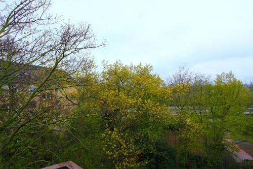 Apartamento Privatunterkunft Parl (6321)