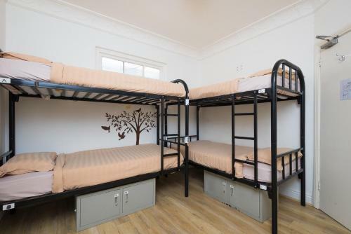 Albergue Sydney Star Backpackers