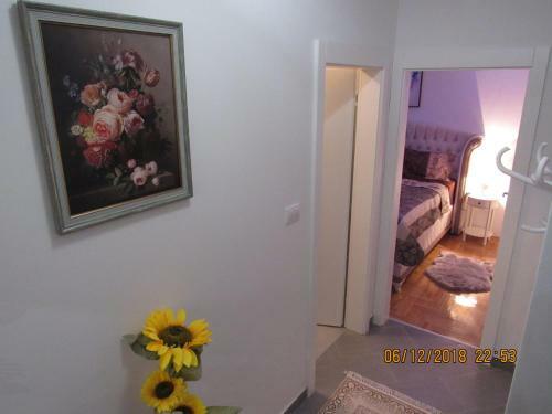 Apartman Tea 2