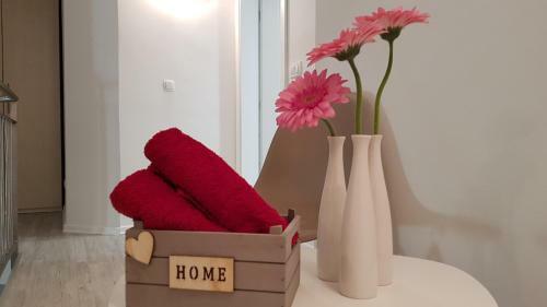 Apartamento Galeria Nura