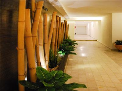 Hotel St.george