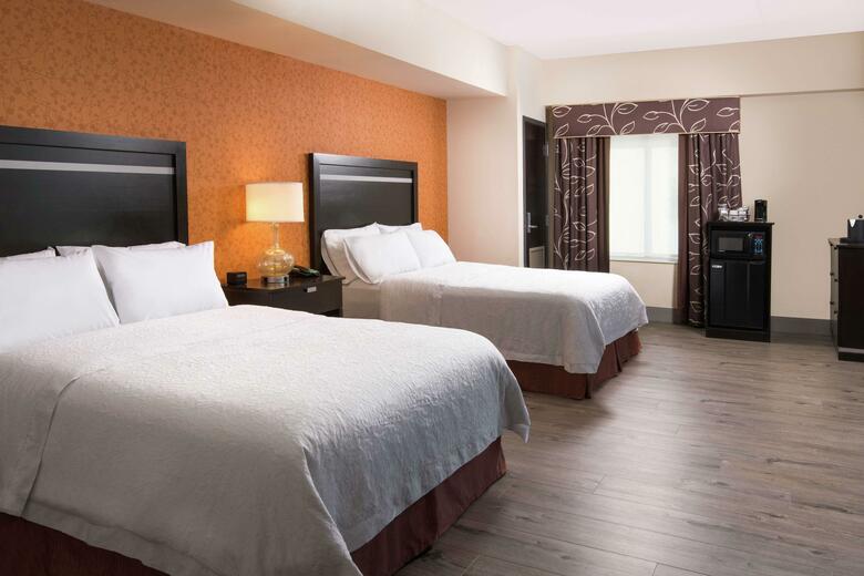 Hotel Hampton Inn & Suites Chattanooga Downtown