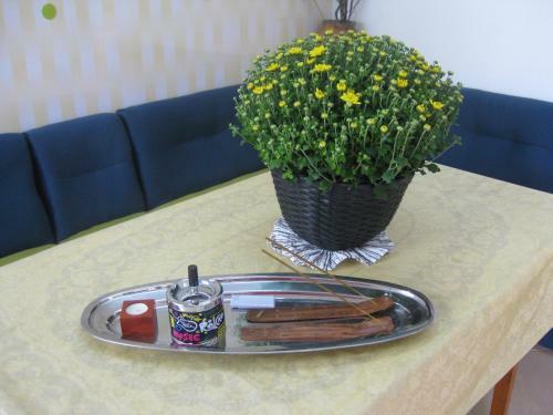 Apartment Shesti Uchastak