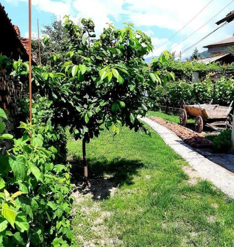 Hostal ???? ?? ????? "??????"