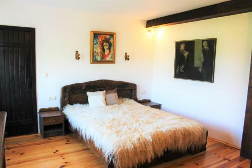 Hotel Sokay