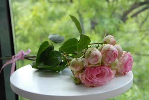 Apartamento Boutique Studio Varna