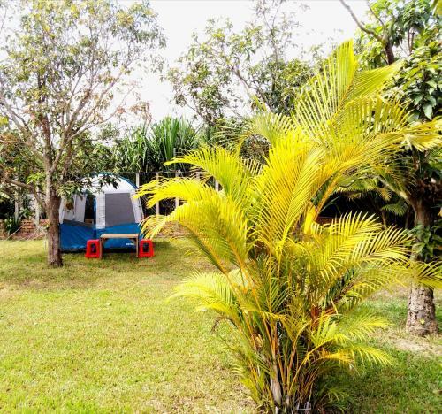 Rumi Camping & Yoga & Home Stay