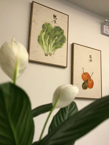 Hostal Shunshang Xian Chancha Guest House