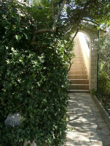 Apartment In Barbat/insel Rab 16210b