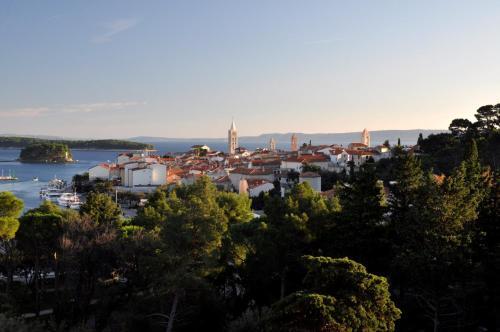 Apartment In Barbat/insel Rab 16210