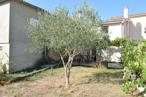 Apartment Gallant