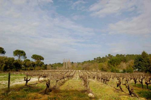 Agroturismo Quinta Da Anunciada Velha