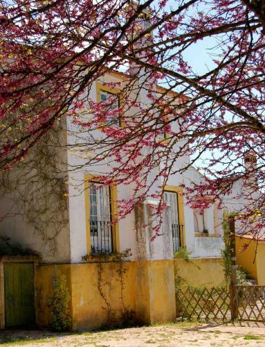 Agroturismo Quinta Da Anunciada Velha