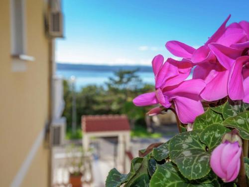 Apartamento Viila Oleandar 12