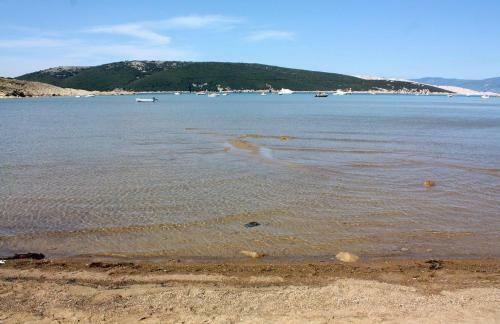 Apartments By The Sea Lopar (rab) - 12534