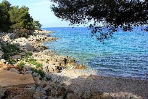 Apartment Mali Losinj 2488d