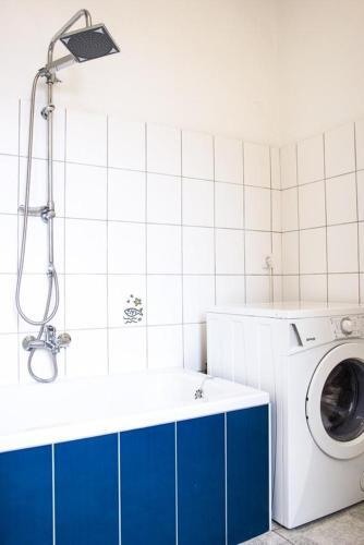 Apartments And Rooms With Wifi Zagreb - 15219