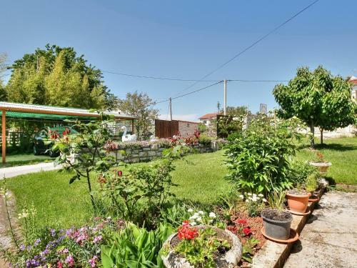 Hostal Paradinovic House With Apartments