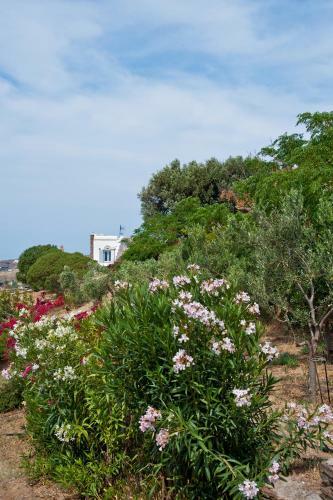 Aenaos Villa, Tinos