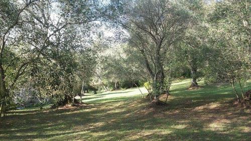 Apartamento Karamali Green Danilia Villas